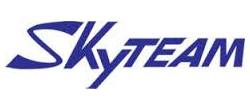 logo skyteam